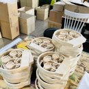 스칸디아모스 카네이션 바구니 만들기 이미지