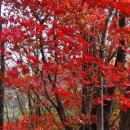 동두천-007 이미지