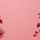 모세목장 이미지