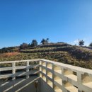 백리섬섬 이미지