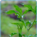 정리수납 이미지