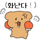 메르시 애견 펜션 이미지