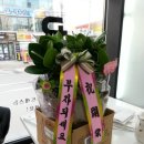 인동화장품