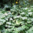 경순농장 이미지