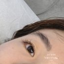 비사이드 - 수원시 장안구 정자로 6 | 평택 고덕 속눈썹펌 비사이드 LED 연장 후기