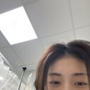 서울라본병원 | 담소유병원 부유방 제거 수술 당일, 보험금 청구 후기(내돈내산, 실비, 유선제거, 지방흡입)