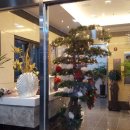 파라다이스 스파 호스텔 이미지