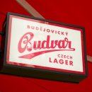 피크닉앤(Picnic&) 이미지