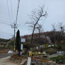 카페아이노스 | 파주 가족 맛집 추천, 아이노스 본점 화덕피자부터 무료 커피까지 완벽했던 점심 후기