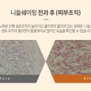 라인성형외과의원 이미지