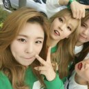 도레미파도 Daum카페