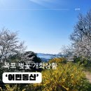 목포 아이와 벚꽃 보러 갈만한곳 - 어민동산 후기