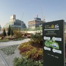 성수초등학교 이미지