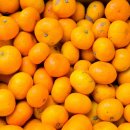 대요농장 이미지