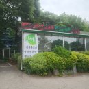 일산 풍산역 맛집 속 편한 한정식 코스 요리 잎새 후기