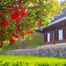 이렇게 좋은날 이미지