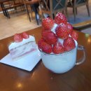 그레이191 호텔 이미지