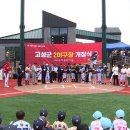 고성군 야구장 이미지