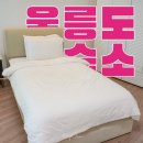 케렌시아 풀빌라 리조트 | 울릉도 숙소 가격 케렌시아 풀빌라 리조트 2박 후기