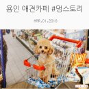 기흥레스피아옥상_R | 용인 애견카페 / 애견동반식당 # 멍스토리 솔직후기