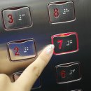 와이즈파크