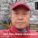 04월04일(목)4회15km/누적53km(서울 여의도 벚꽃) 이미지