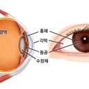 편안약국 이미지
