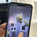 씨엘2 | 웨딩 준비 2│대전웨딩홀 씨엘드포레 (27년 상반기 상담 후기, 계약까지)