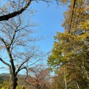 문수봉가든 | 내연산 , 보경사 근처 비빔밥&amp;칼국수 맛집- '문수봉 가든' 방문 후기