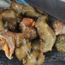 메이폴하우스 이미지