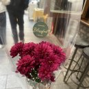 방방 | 해방촌 신흥시장 브런치 와인바 맛집 방방(VinVin) 내돈내산 후기