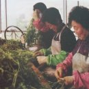 한미숙농장 이미지