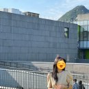 [내돈내산] 셜록뷰티 토탈 컨설팅 후기: 한번에 모든 것을 커버함!