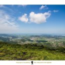 2019-주105 이미지