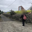 제주 2주 살기_ 4일차 : 동행