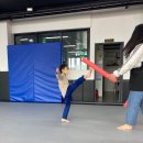 동아대 빛 태권도 이미지