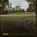 평화유원지 | 여주 강천섬 유원지 서울 근교 은행나무 명소 다녀왔어요 단풍 은행 절정 시기 예측