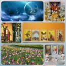 타로카드(기초반) 이미지