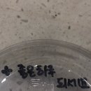 [알바 후기] 야생에서 살아남은 스물넷 매니저의 카페 관리팁 (재고관리,채용,면접)