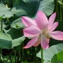 송산2리마을회관 이미지