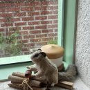 마석로45번길1 | 행궁동 애견동반 카페 카페모종 1인 빙수 커피가 맛있는 내돈내산 솔직후기