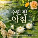서울식물원 햇살정원 장미 수련 산책 후기