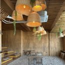 탄스비치 이미지