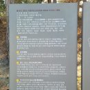 완도 묘당도 이충무공 유적 | 완도 묘당도 이충무공 유적