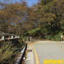 다대1동-15 | 부산 다대포 몰운대 아미산 산책로 후기~