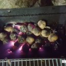 땅끝해오름민박 이미지