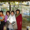 학동초교 이미지