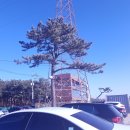 할리스커피영종덕교점
