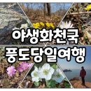 죽전2길 34-3,죽전길 24-5 (장관빌라뒤) | 서울근교 풍도 3월 봄꽃 야생화 트레킹 당일여행 배편 여행자클럽