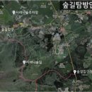 남조로 사려니숲길입구 네이버블로그